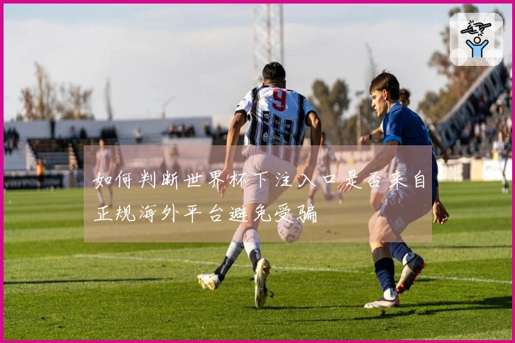 如何判断世界杯下注入口是否来自正规海外平台避免受骗