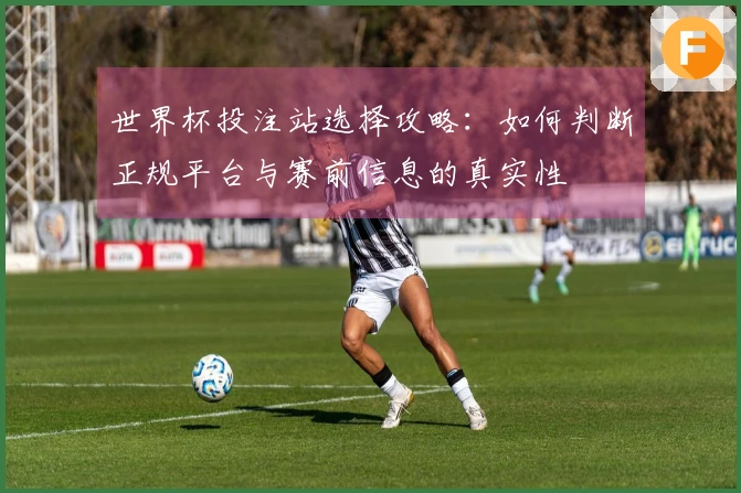 世界杯投注站选择攻略：如何判断正规平台与赛前信息的真实性